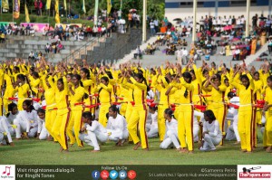 12027316_10154307824959251_4739824325360425226_o